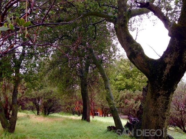 Foothill Boulevard Pine Valley, CA 91962 - Photo 2 of 7