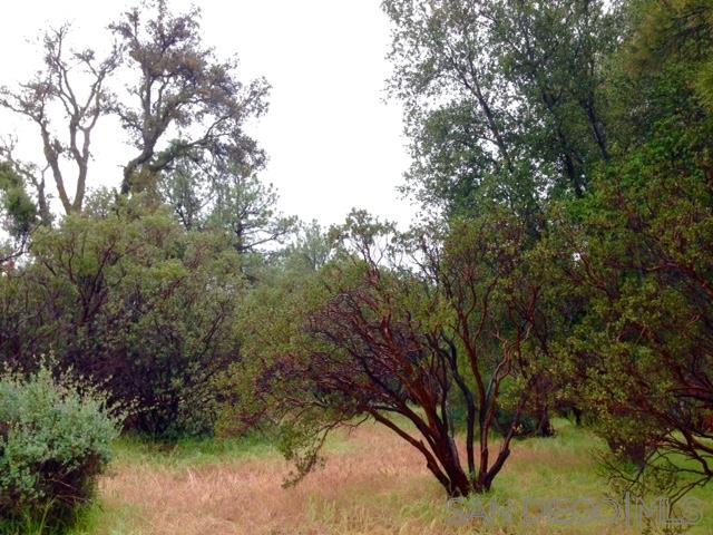 Foothill Boulevard Pine Valley, CA 91962 - Photo 3 of 7