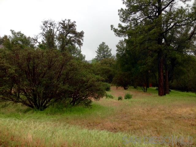 Foothill Boulevard Pine Valley, CA 91962 - Photo 4 of 7