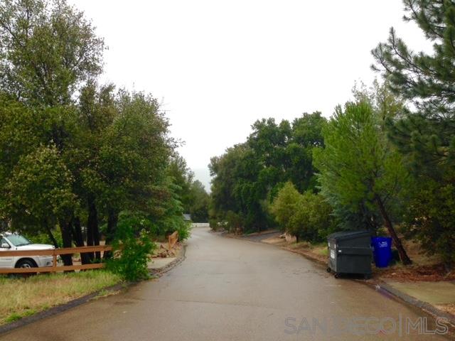 Foothill Boulevard Pine Valley, CA 91962 - Photo 6 of 7