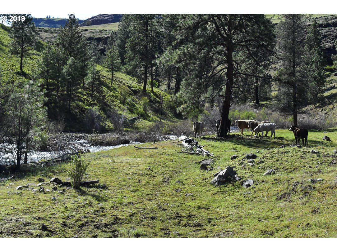 Ritter Road Monument, OR 97864 - Photo 22 of 28