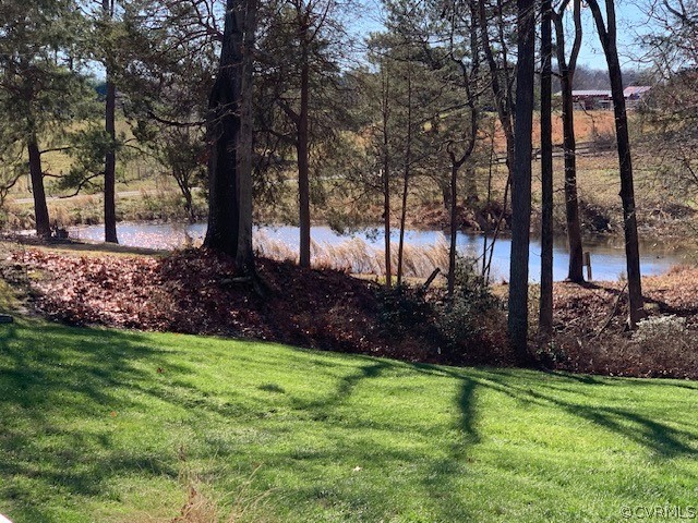 10497 Georgetown Road Mechanicsville, VA 23116 - Photo 48 of 50 a view of backyard with green space
