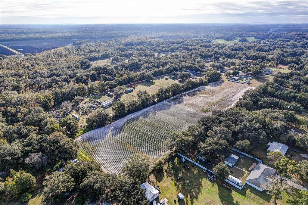 4822 Nesmith Road Plant City, FL 33567 - Photo 16 of 18 an aerial view of residential houses with outdoor space