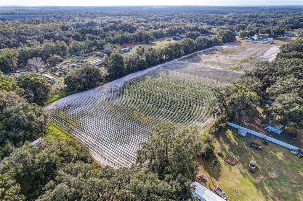 4822 Nesmith Road Plant City, FL 33567 - Photo 17 of 18 an aerial view of residential houses with outdoor space