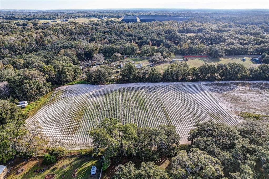 4822 Nesmith Road Plant City, FL 33567 - Photo 18 of 18 an aerial view of a house with a yard