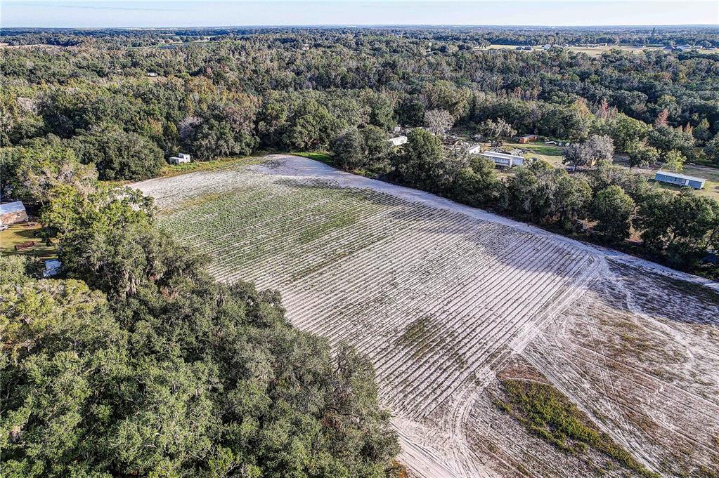 4822 Nesmith Road Plant City, FL 33567 - Photo 3 of 18 an aerial view of a house