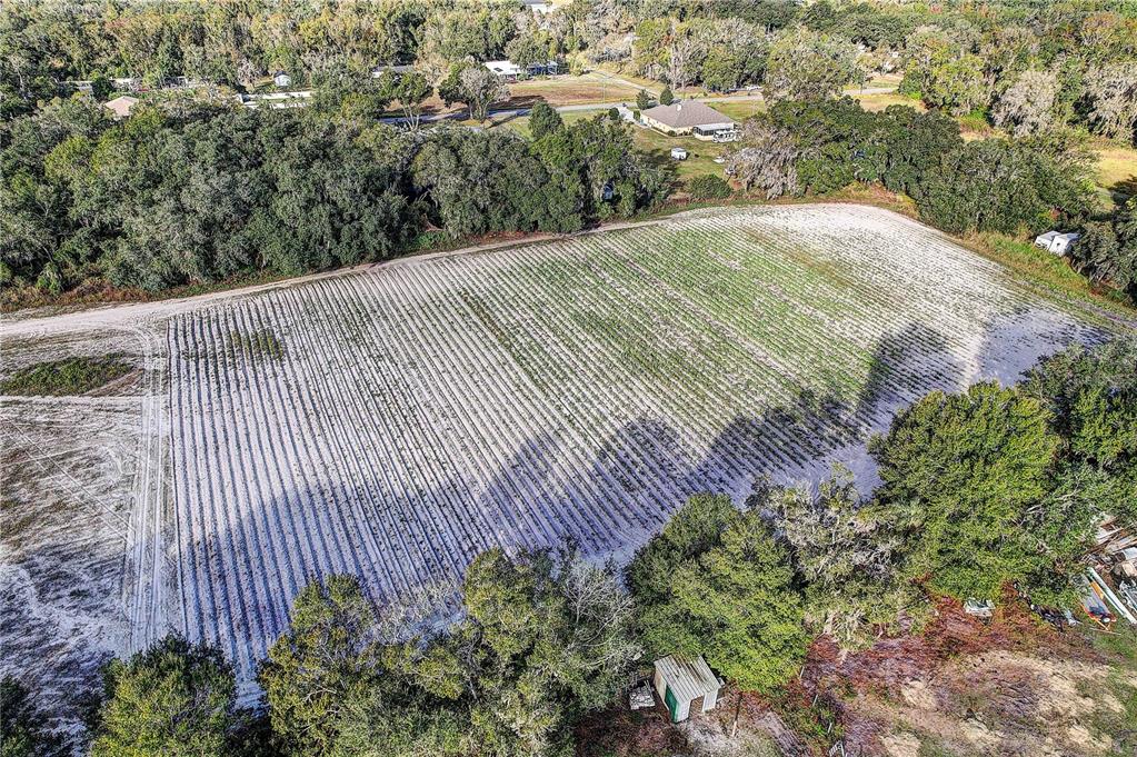 4822 Nesmith Road Plant City, FL 33567 - Photo 6 of 18 a view of a backyard