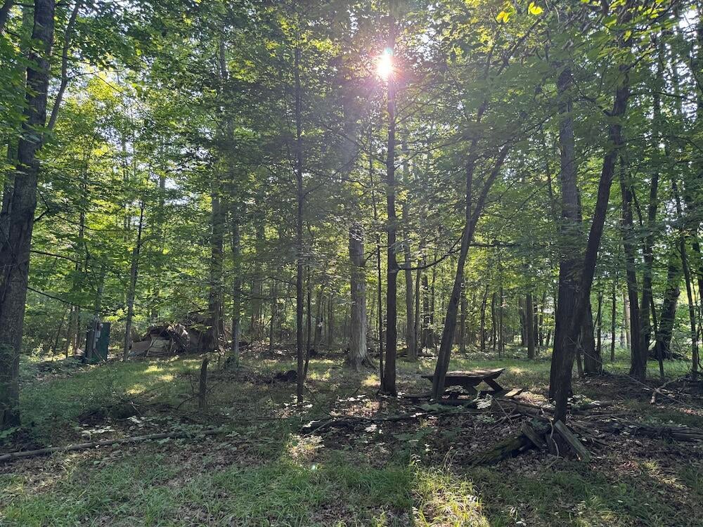 East Procunier Road Harrisville, MI 48740 - Photo 14 of 78 Gallery Image 14