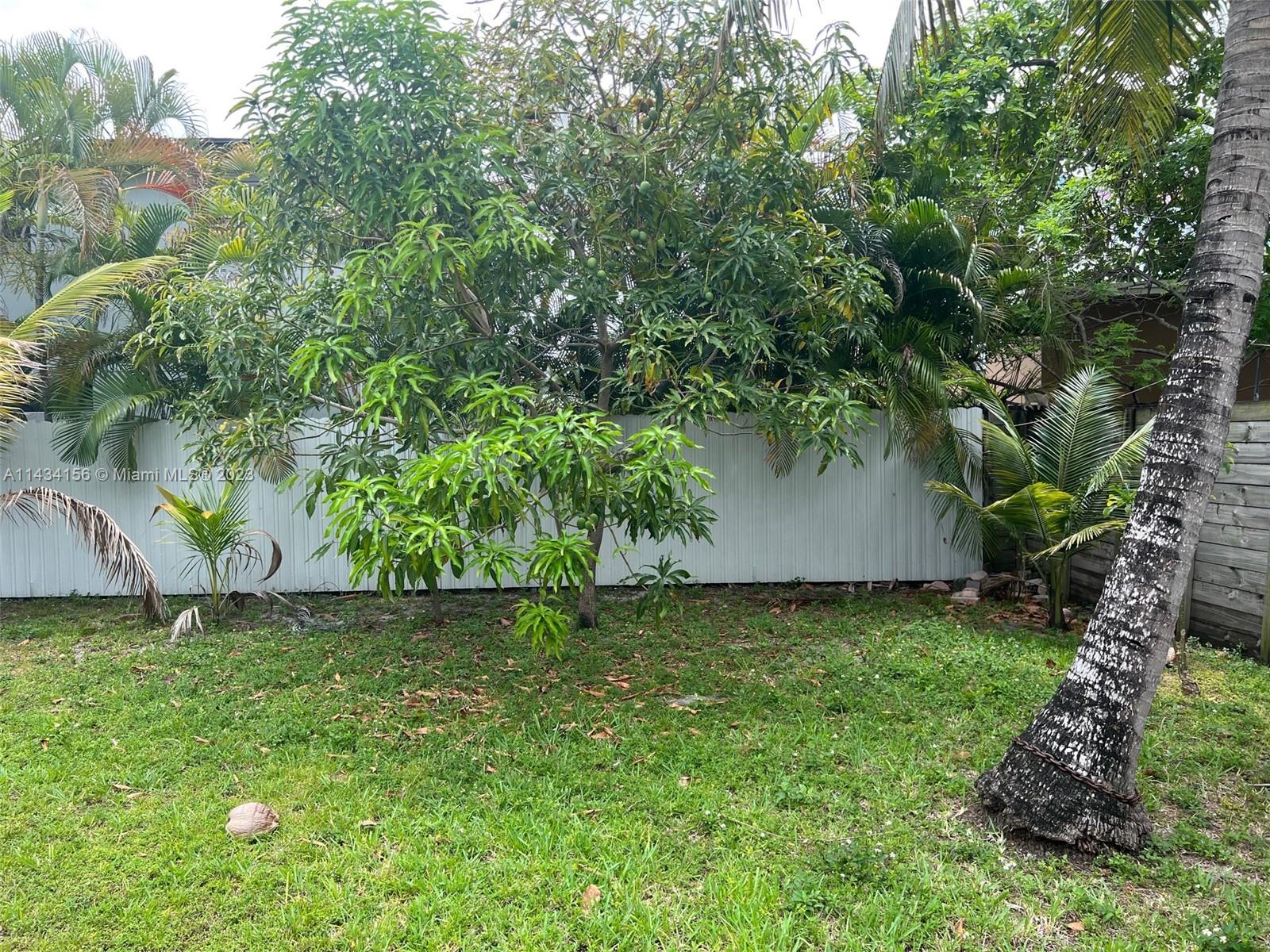 652 Northwest 28th Street Miami, FL 33127 - Photo 5 of 15 a backyard of a house with lots of green space