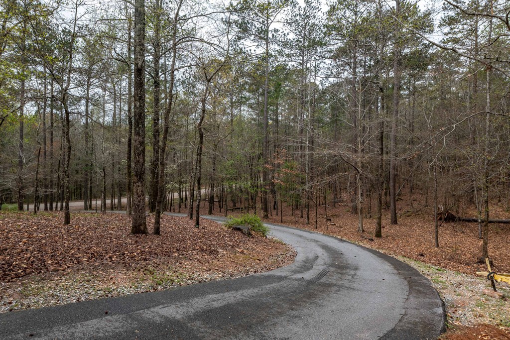 357 Mountain Road Hamilton, GA 31811 - Photo 3 of 51 Gallery Image 3