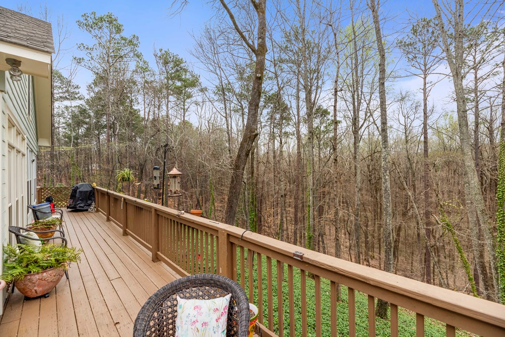 357 Mountain Road Hamilton, GA 31811 - Photo 42 of 51 Gallery Image 42