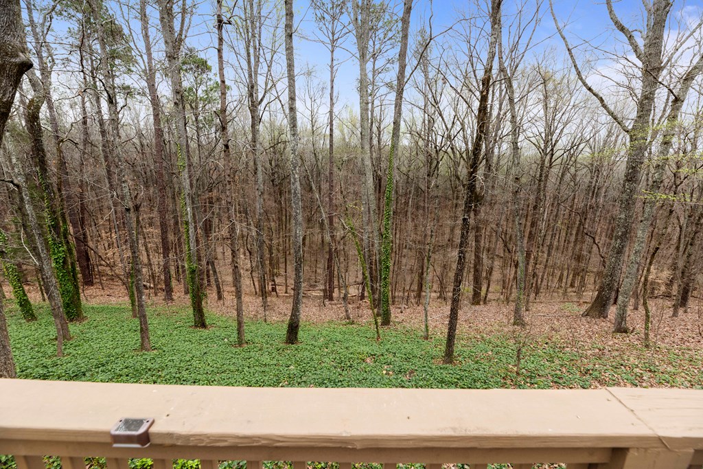 357 Mountain Road Hamilton, GA 31811 - Photo 45 of 51 Gallery Image 45
