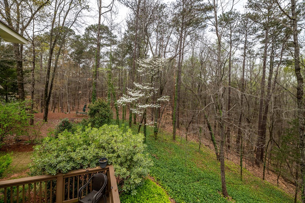 357 Mountain Road Hamilton, GA 31811 - Photo 50 of 51 Gallery Image 50