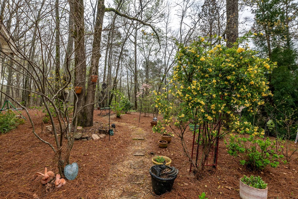 357 Mountain Road Hamilton, GA 31811 - Photo 51 of 51 Gallery Image 51