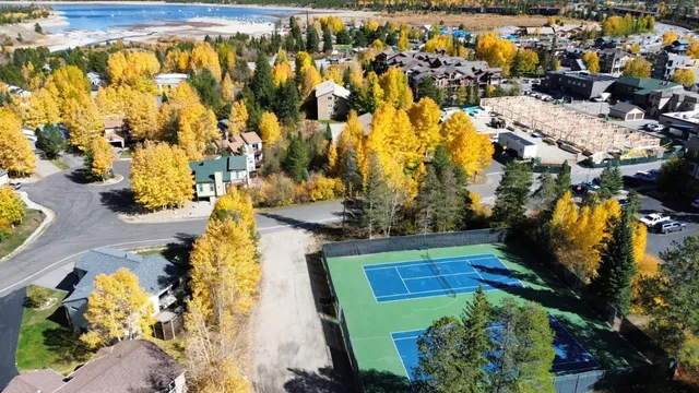 a view of backyard of house