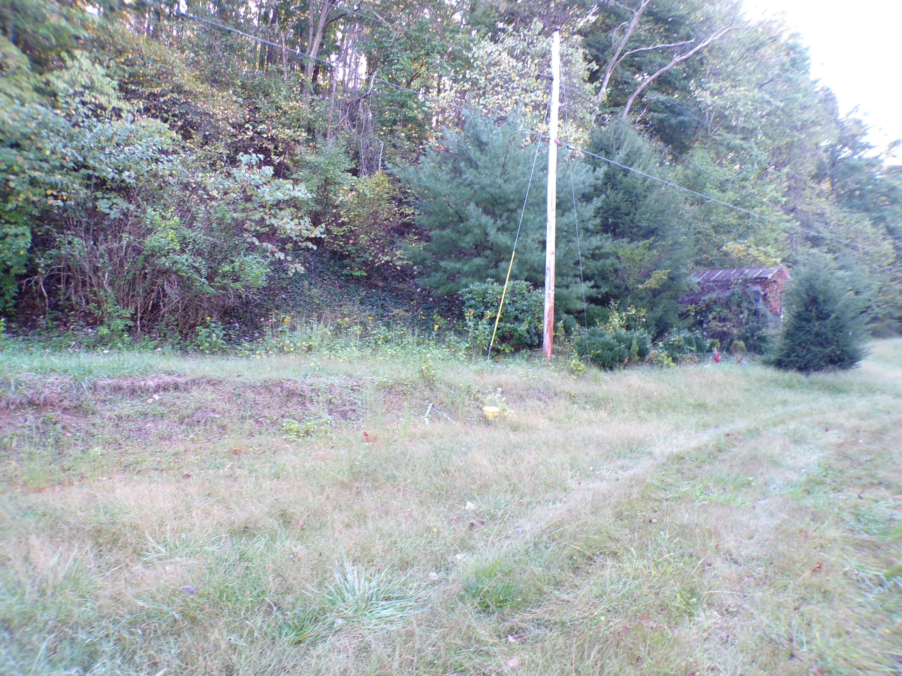 1488 Lithia Road Buchanan, VA 24066 - Photo 3 of 11 117_0185