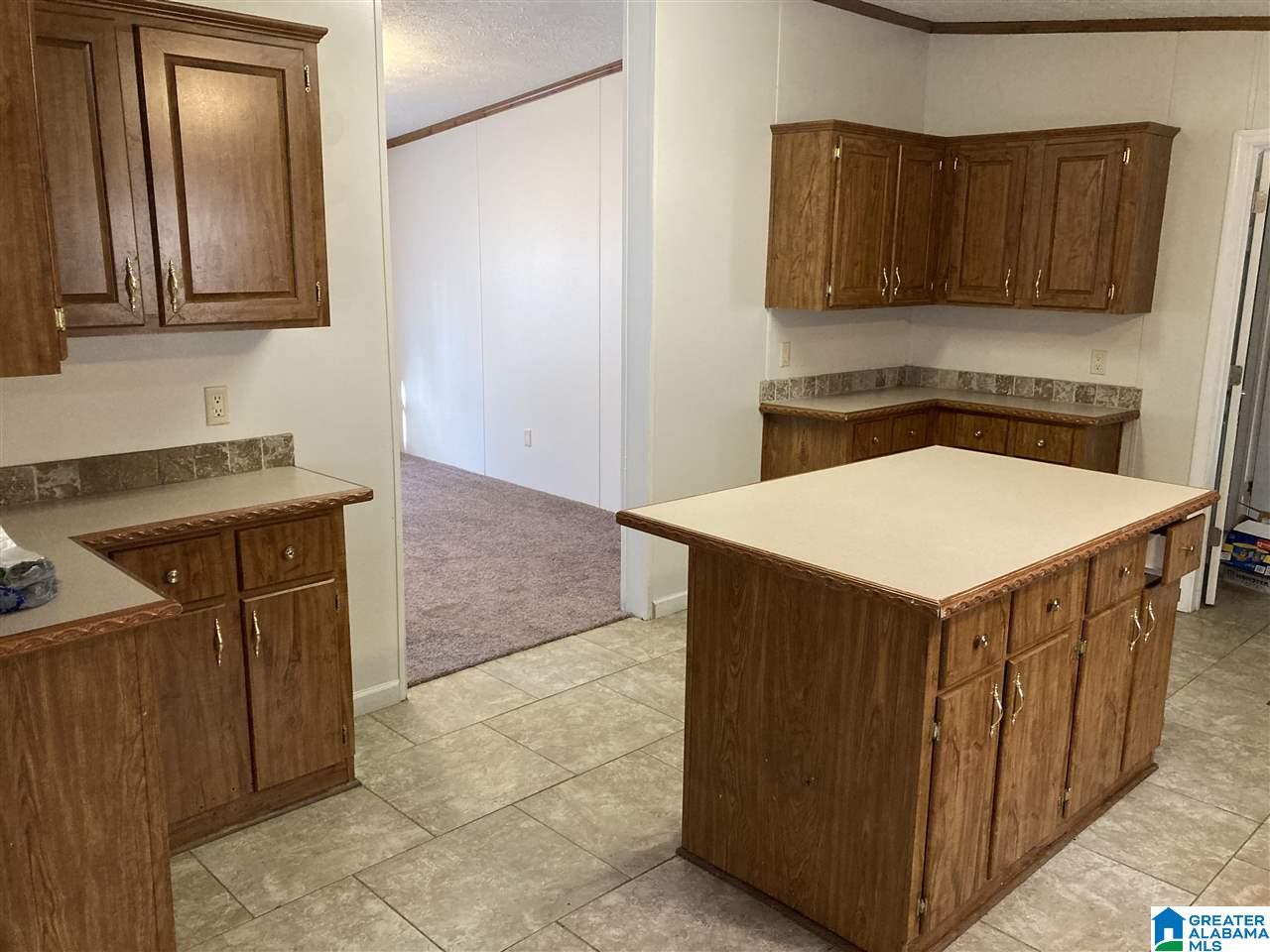 295 Cheyenne Street Leeds, AL 35094 - Photo 5 of 31