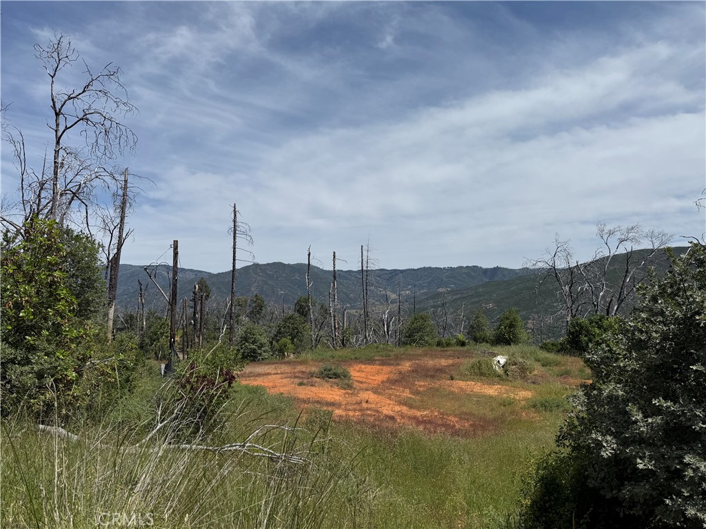1833 Hunter Point Road Upper Lake, CA 95485 - Photo 10 of 20 a view of a city