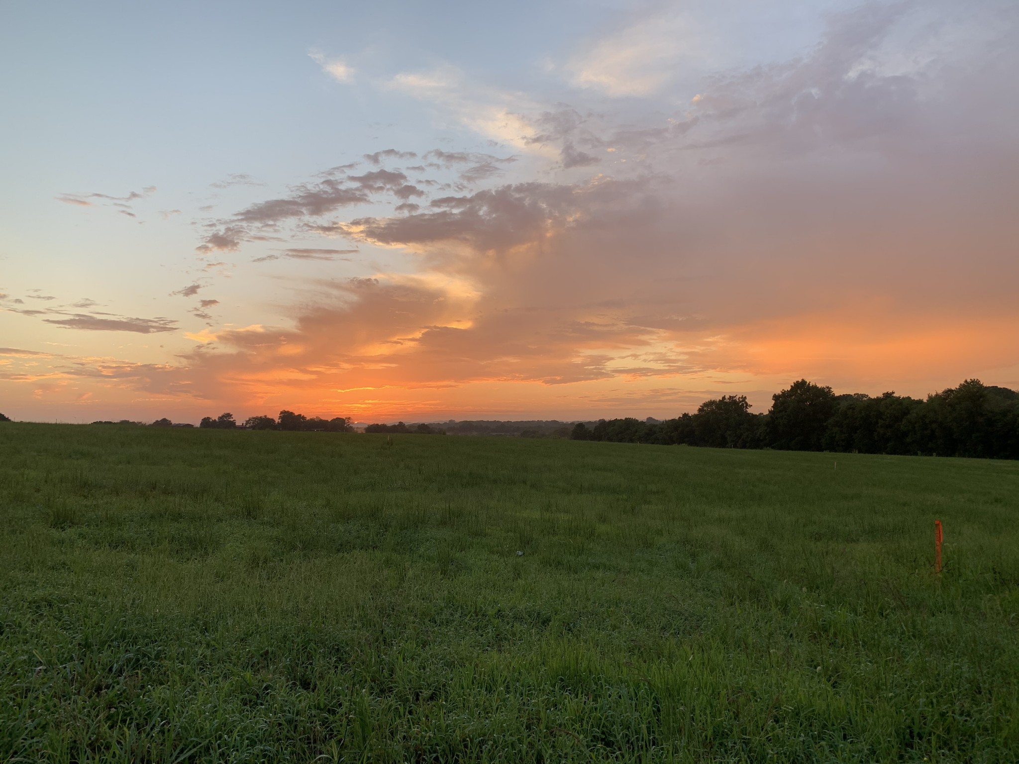 1155 Littleton Ranch Road Castalian Springs, TN 37031 - Photo 1 of 6 Gallery Image 1