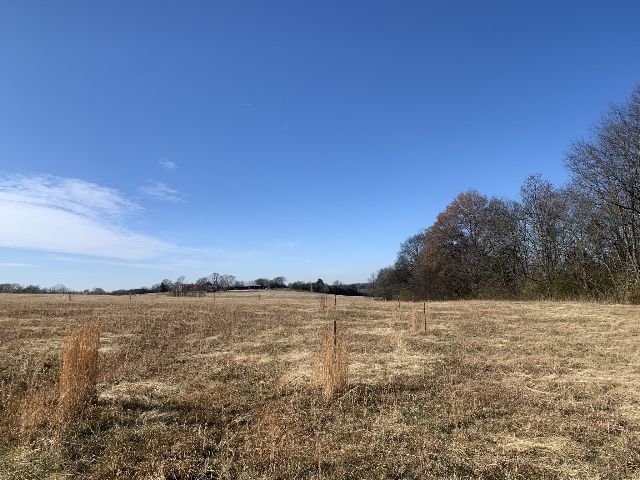 1155 Littleton Ranch Road Castalian Springs, TN 37031 - Photo 3 of 6 Gallery Image 3