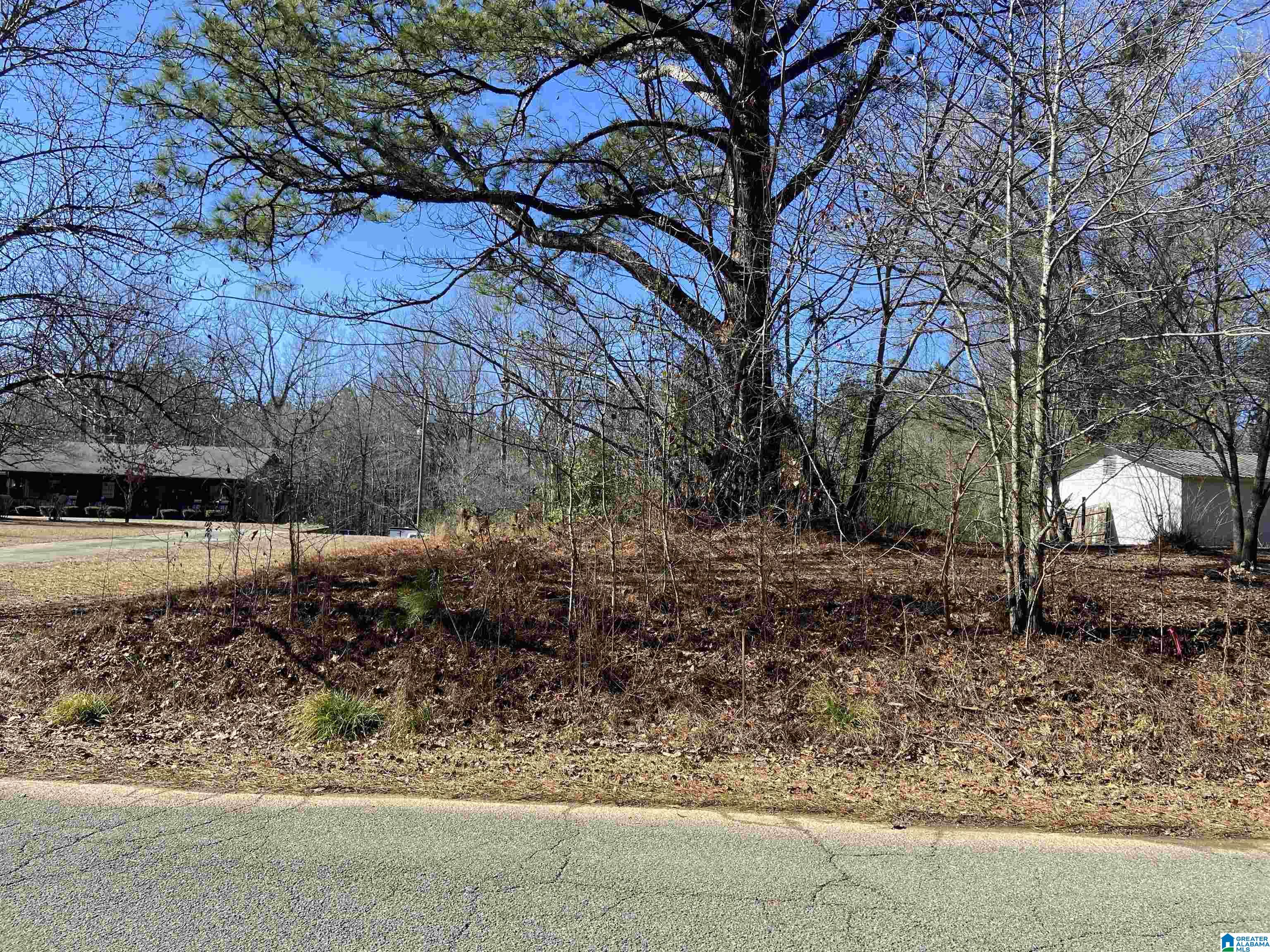 7261 Bishop Road, Unit 10 ACRES Bessemer, AL 35022 - Photo 2 of 8