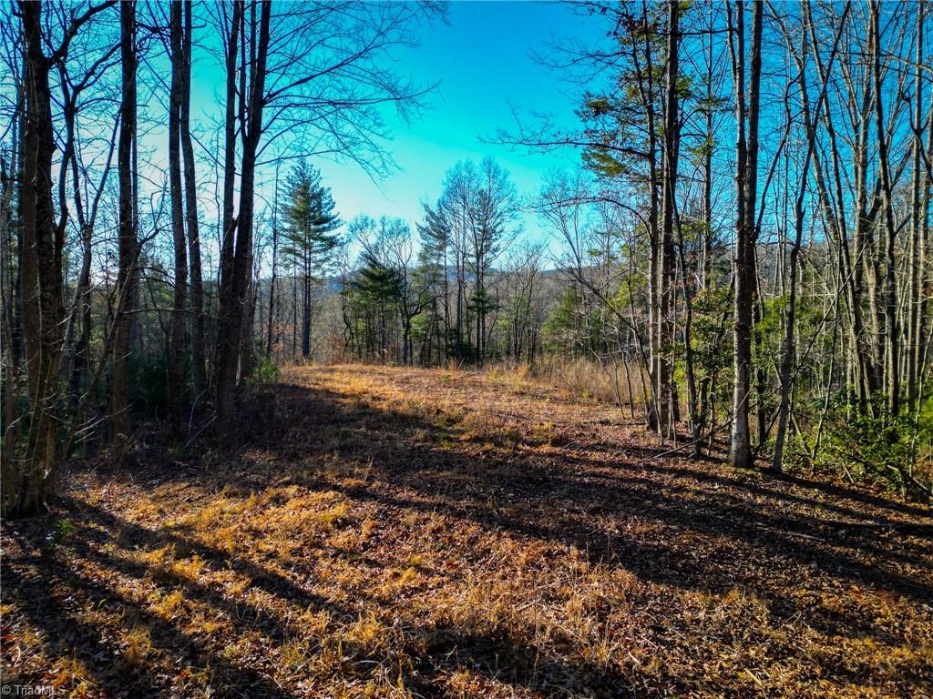 3399 Beaver Creek Road Boomer, NC 28606 - Photo 1 of 9 Gallery Image 1