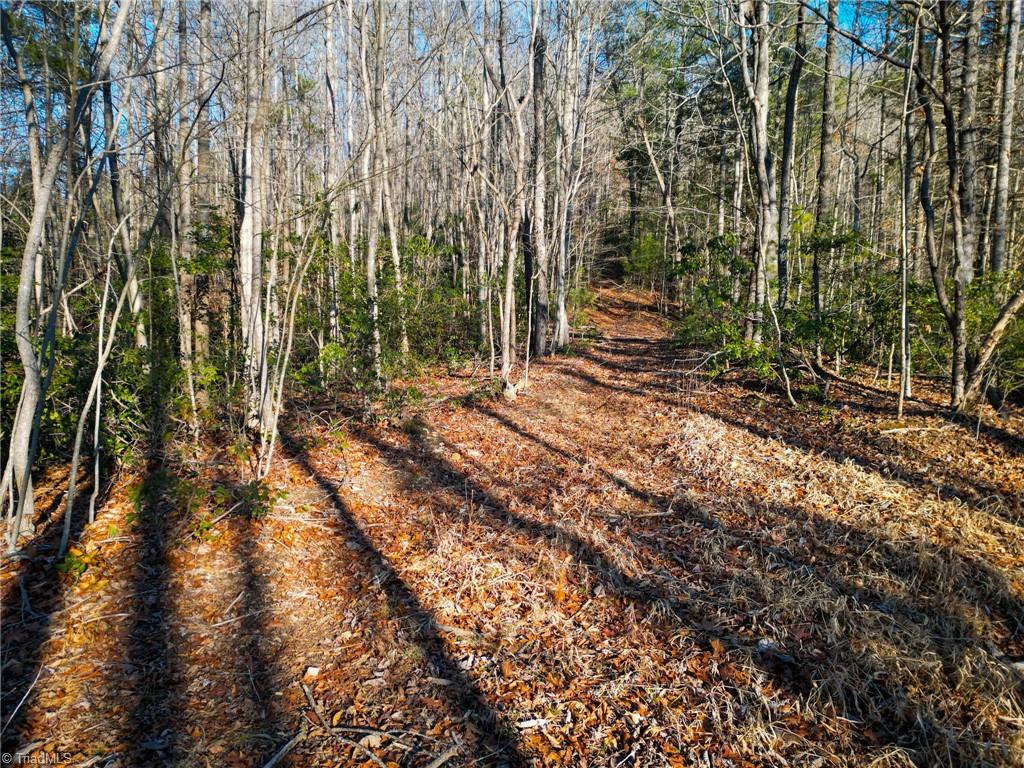 3399 Beaver Creek Road Boomer, NC 28606 - Photo 2 of 9 Gallery Image 2
