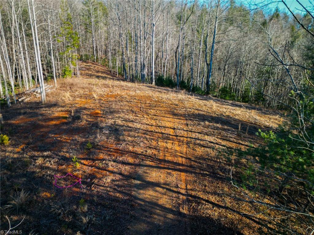 3399 Beaver Creek Road Boomer, NC 28606 - Photo 3 of 9 Gallery Image 3