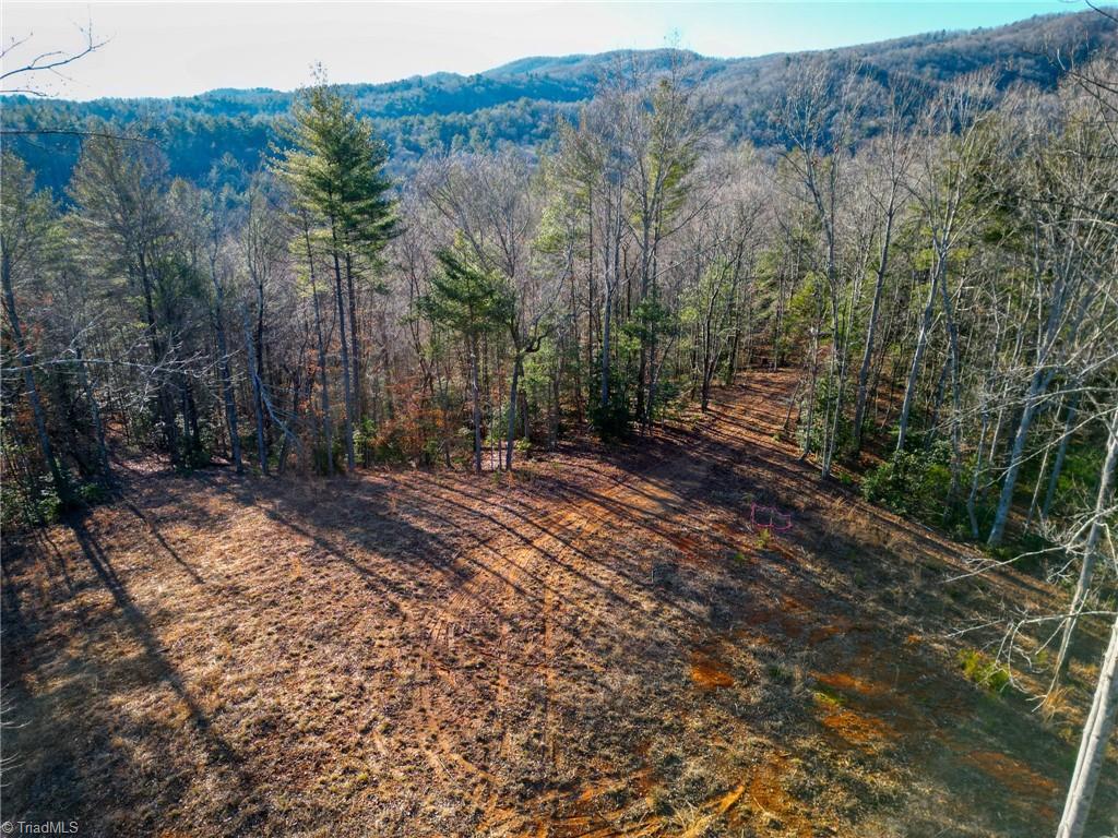 3399 Beaver Creek Road Boomer, NC 28606 - Photo 4 of 9 Gallery Image 4