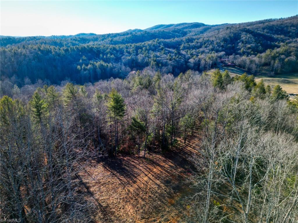 3399 Beaver Creek Road Boomer, NC 28606 - Photo 6 of 9 Gallery Image 6