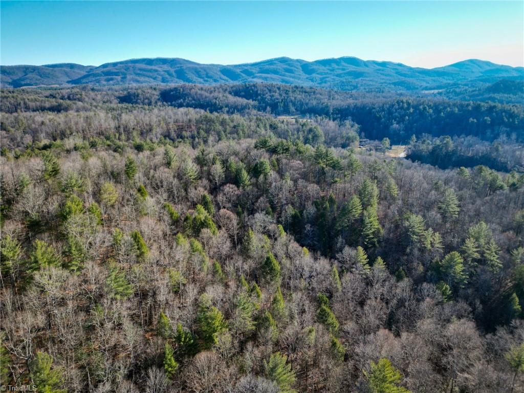 3399 Beaver Creek Road Boomer, NC 28606 - Photo 7 of 9 Gallery Image 7