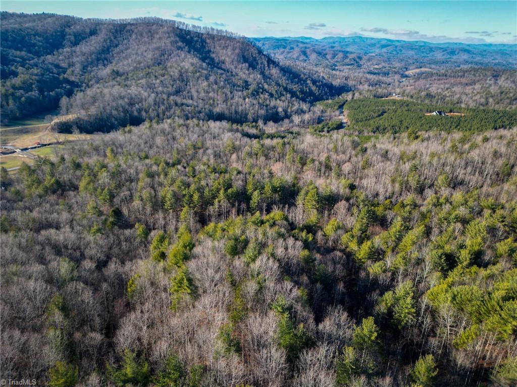 3399 Beaver Creek Road Boomer, NC 28606 - Photo 8 of 9 Gallery Image 8