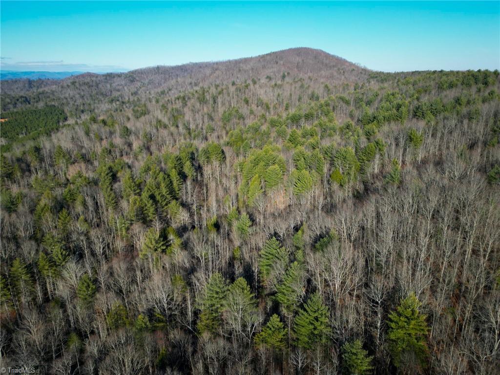 3399 Beaver Creek Road Boomer, NC 28606 - Photo 9 of 9 Gallery Image 9