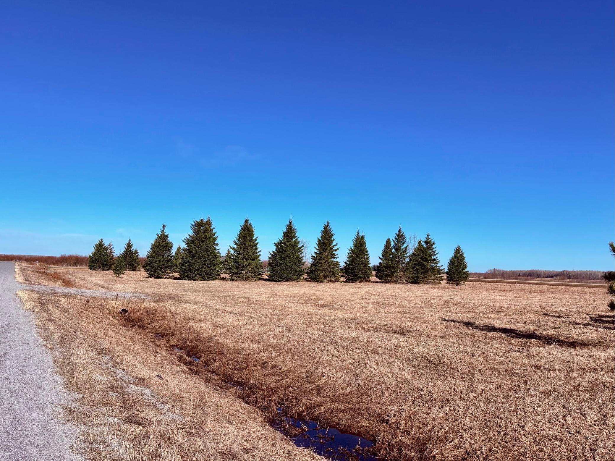 Lot 1 Badger Road Baudette, MN 56623 - Photo 11 of 15
