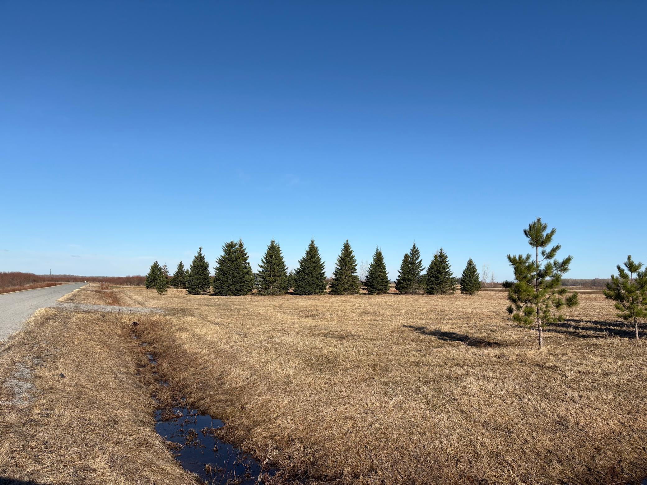 Lot 1 Badger Road Baudette, MN 56623 - Photo 12 of 15