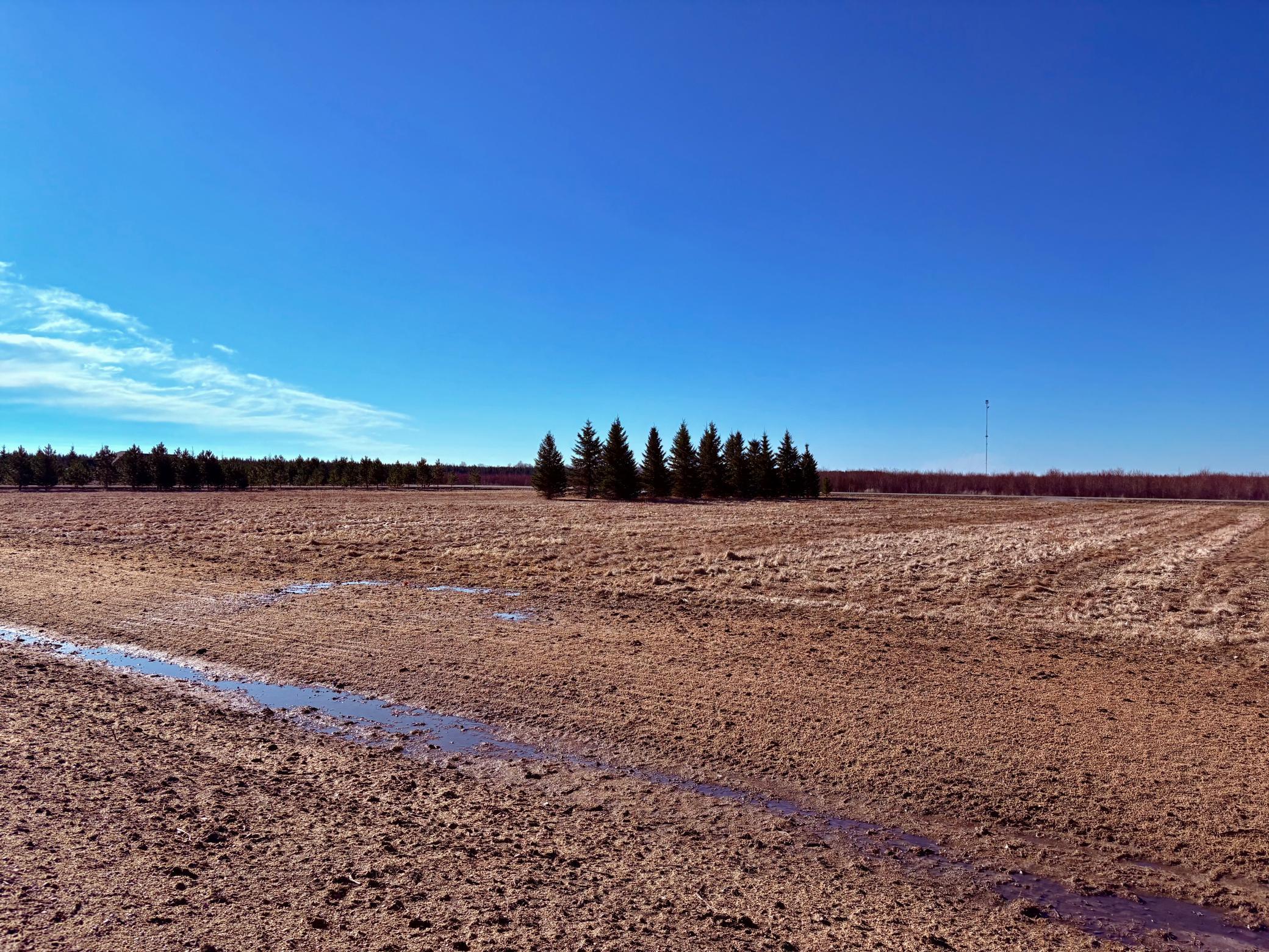 Lot 1 Badger Road Baudette, MN 56623 - Photo 15 of 15