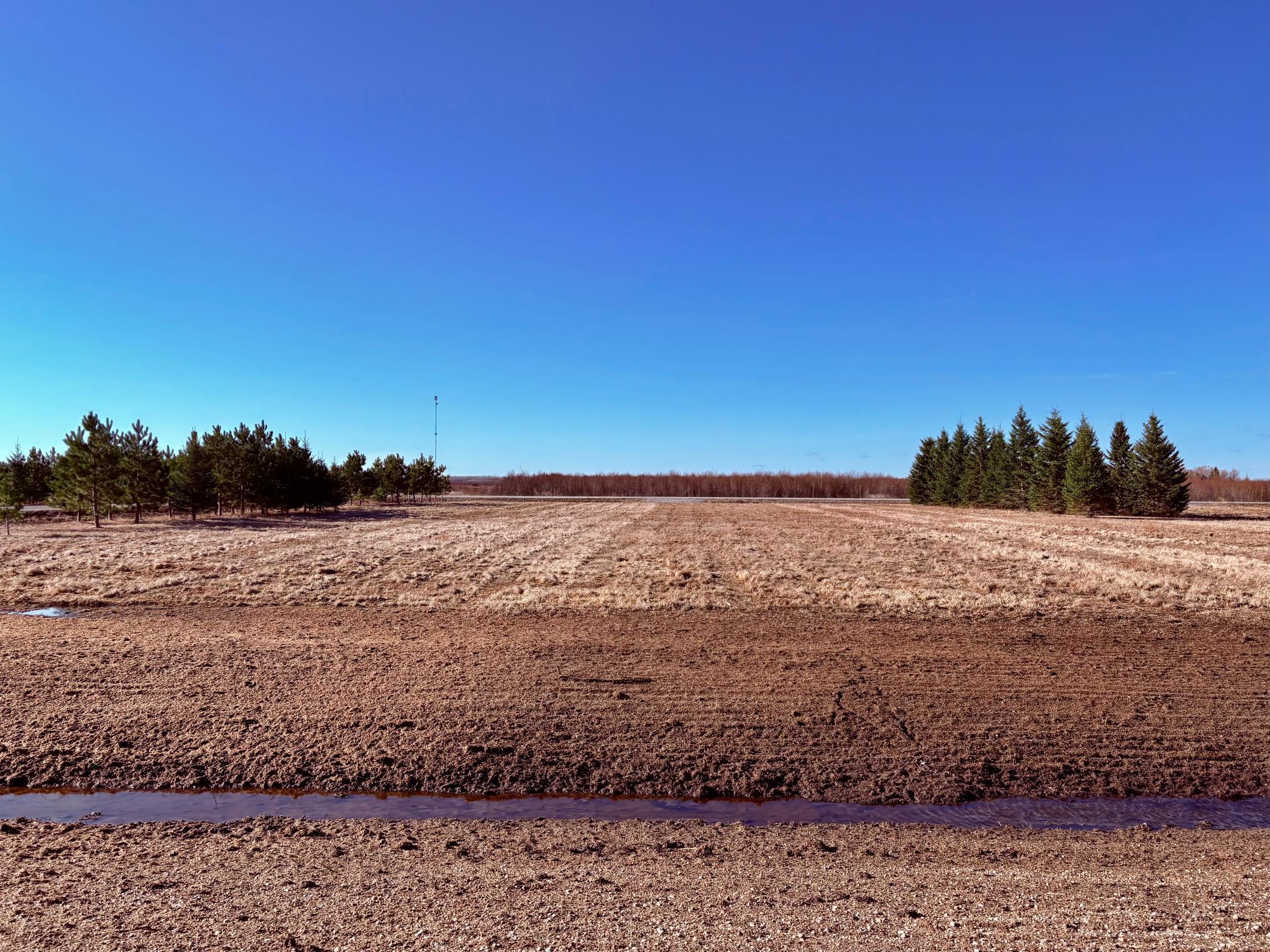 Lot 1 Badger Road Baudette, MN 56623 - Photo 9 of 15
