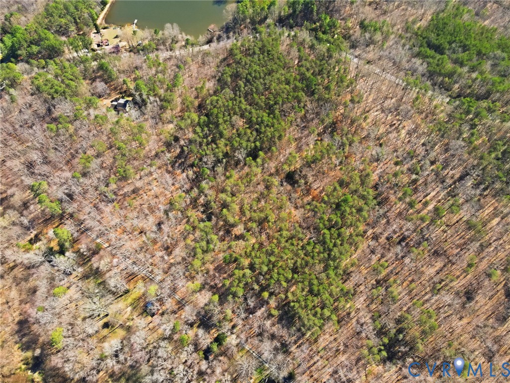 16391 Gun Barrel Road Montpelier, VA 23192 - Photo 1 of 13