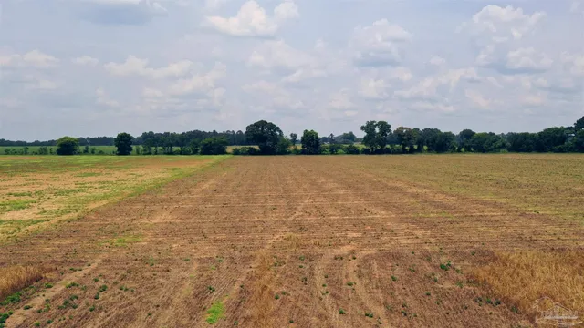 a view of an ocean and beach