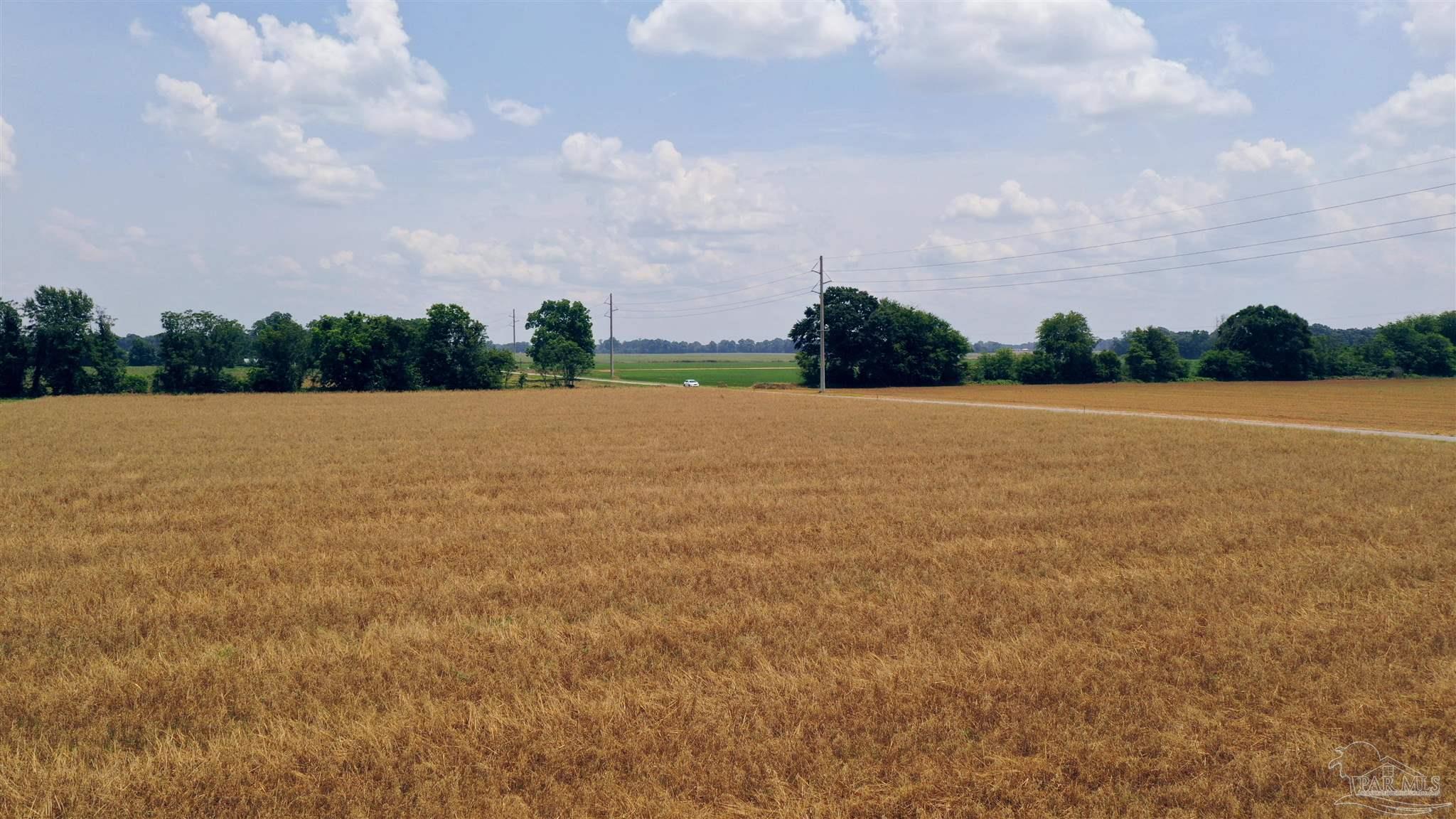 0 Shell Road Jay, FL 32565 - Photo 18 of 21 a view of patio and yard