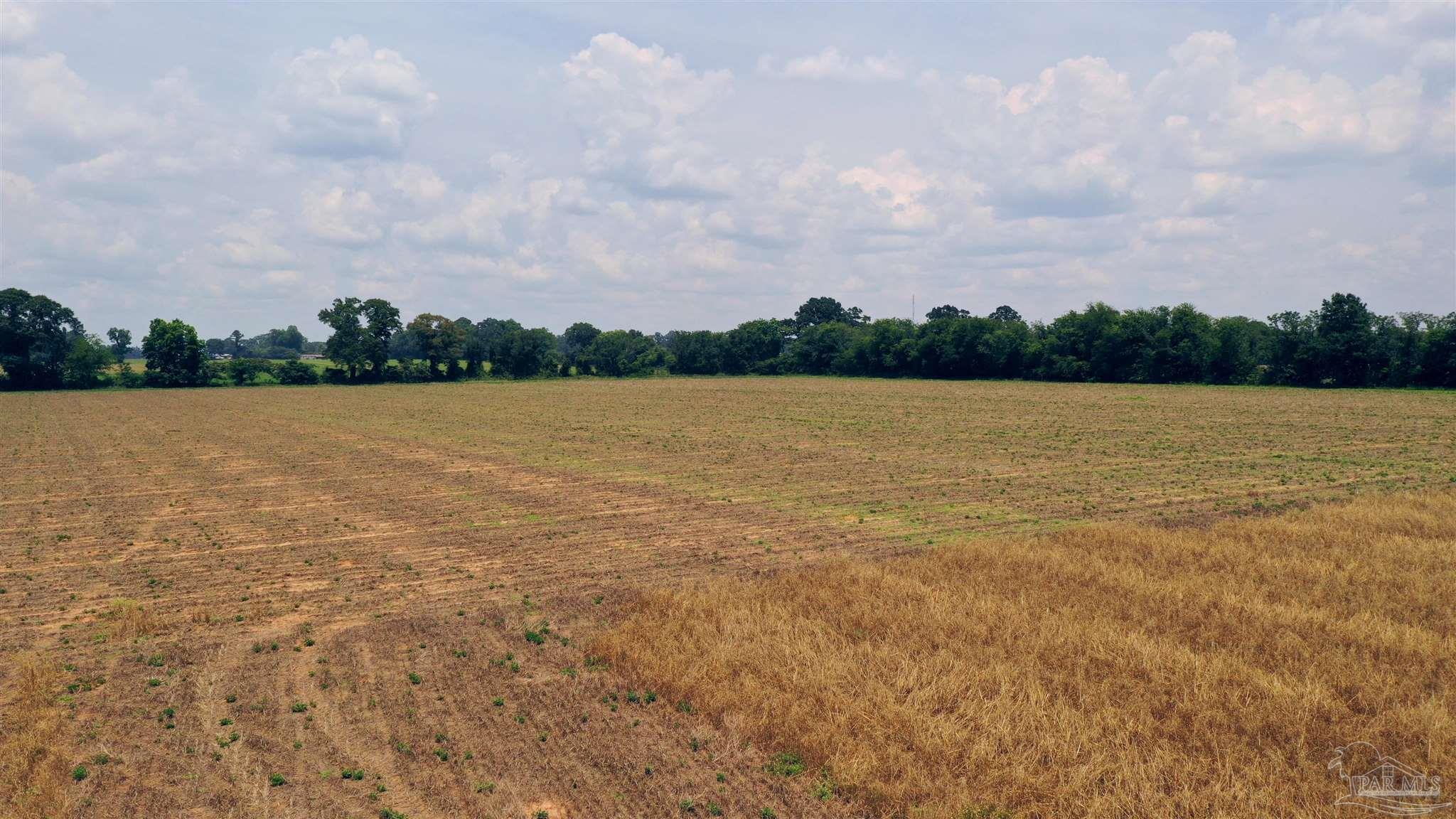 0 Shell Road Jay, FL 32565 - Photo 19 of 21 a view of lake and mountain view