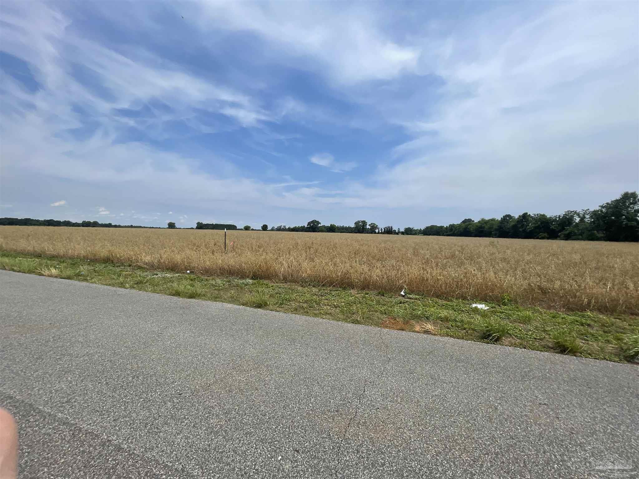 0 Shell Road Jay, FL 32565 - Photo 10 of 21