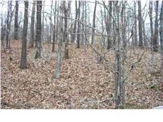 8 Old Lead Mine Valley Road Southwest Cleveland, TN 37311 - Photo 1 of 1 Primary Photo