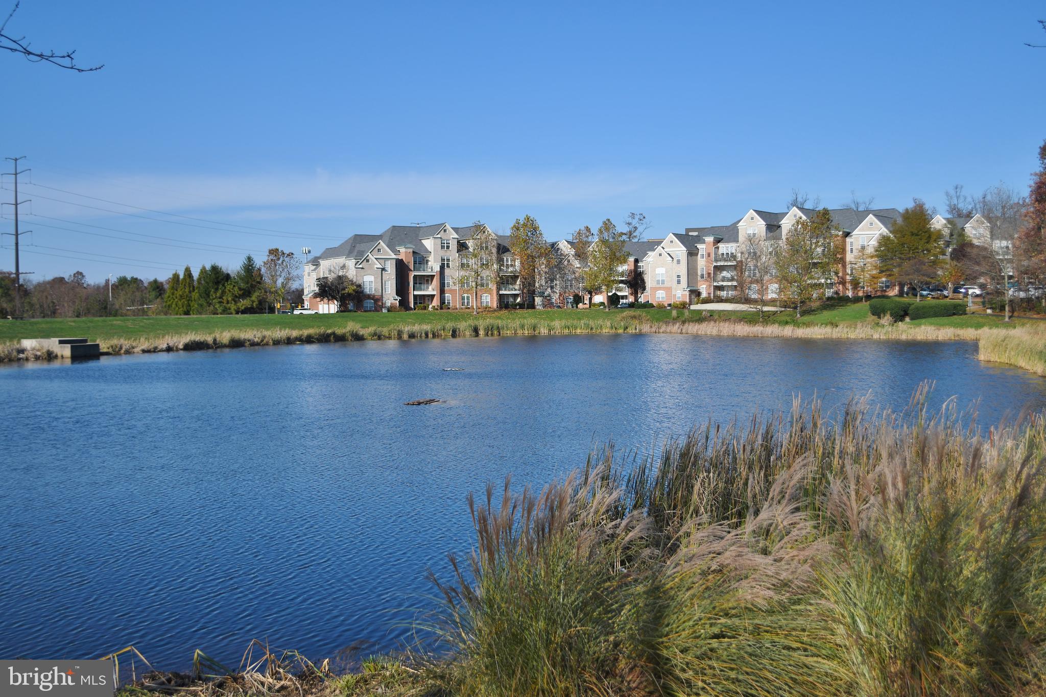 1933 Logan Manor Drive Reston, VA 20190 - Photo 102 of 120 More Pond Views
