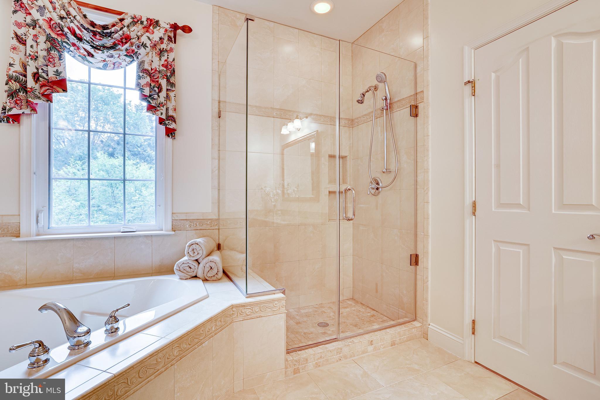 1933 Logan Manor Drive Reston, VA 20190 - Photo 56 of 120 Frameless Glass Shower