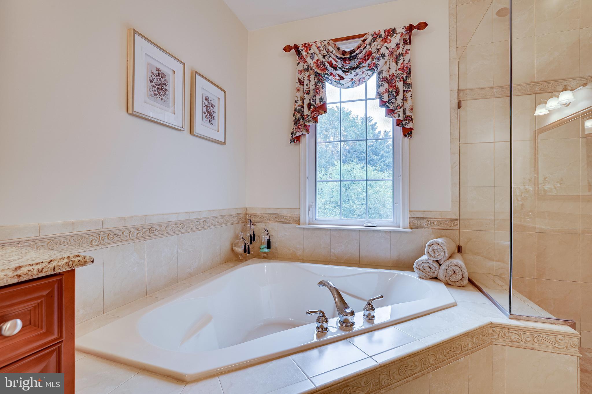 1933 Logan Manor Drive Reston, VA 20190 - Photo 60 of 120 Deep Soaking Tub