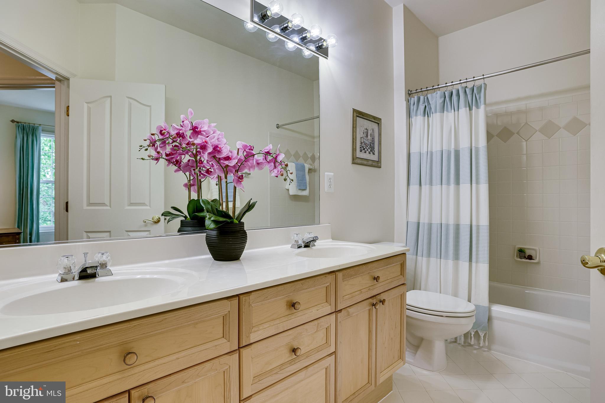 1933 Logan Manor Drive Reston, VA 20190 - Photo 67 of 120 Full Bathroom #2