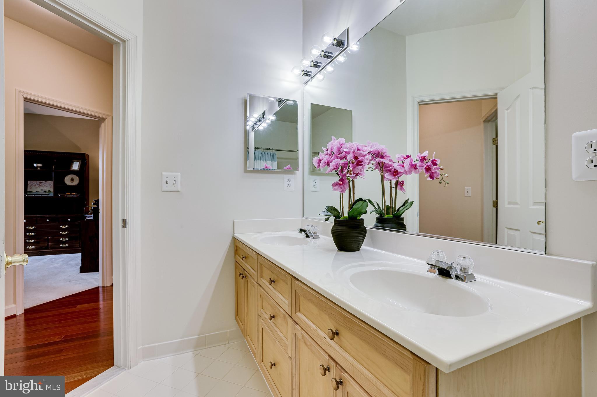 1933 Logan Manor Drive Reston, VA 20190 - Photo 68 of 120 Full Bathroom #2