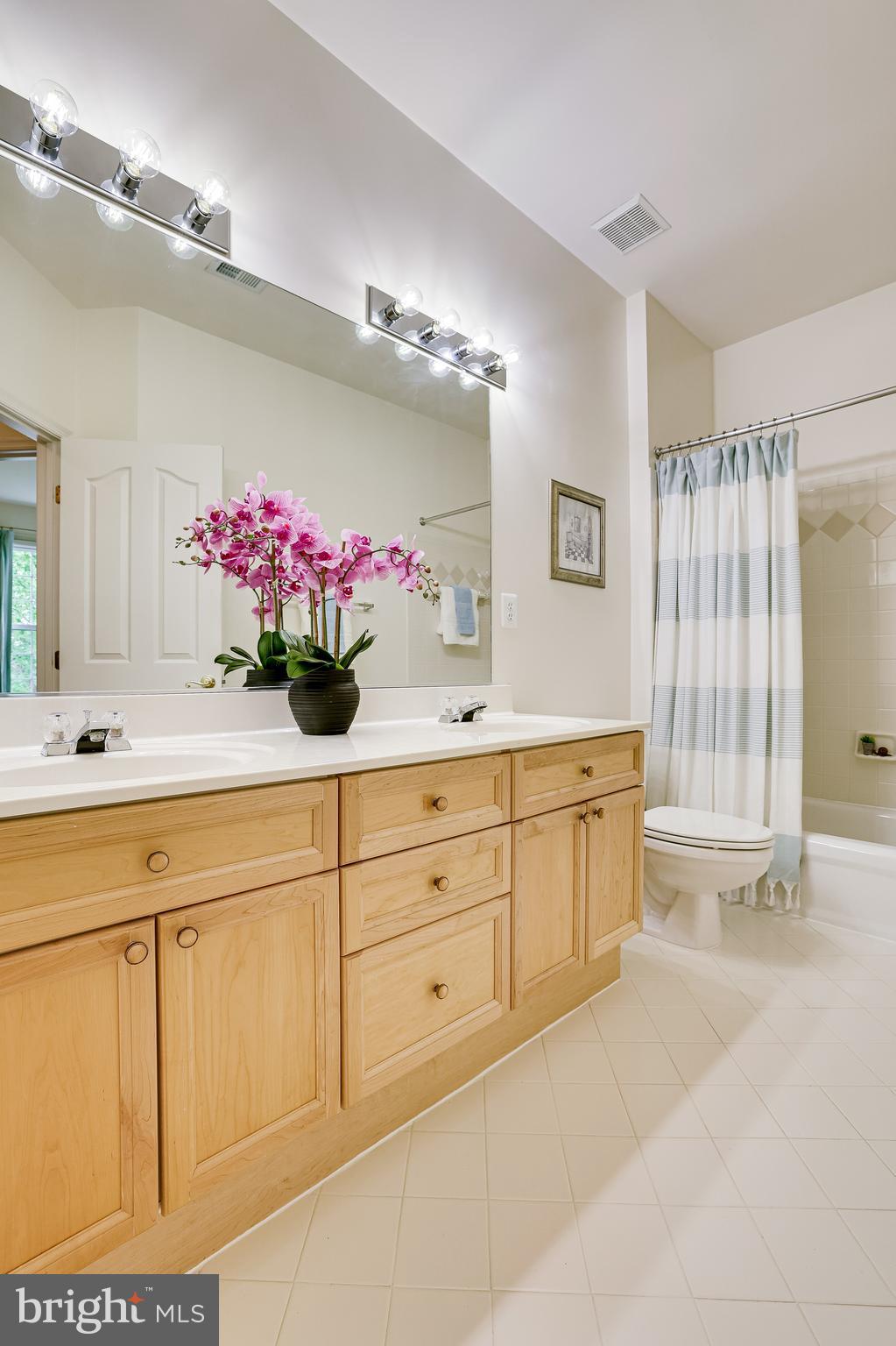 1933 Logan Manor Drive Reston, VA 20190 - Photo 69 of 120 Full Bathroom #2