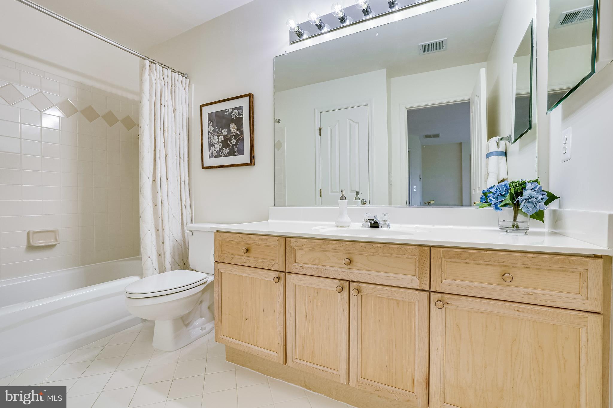 1933 Logan Manor Drive Reston, VA 20190 - Photo 78 of 120 Full Bathroom #3